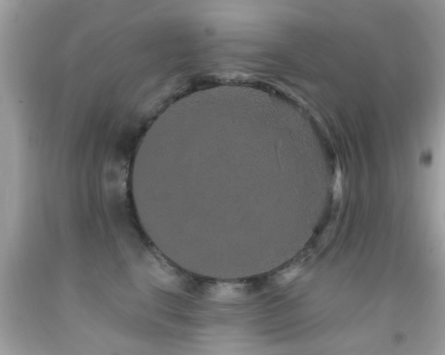 X0000092080664200709121445