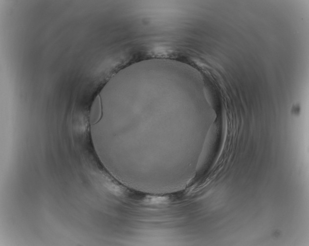 X0000092080665200709121445