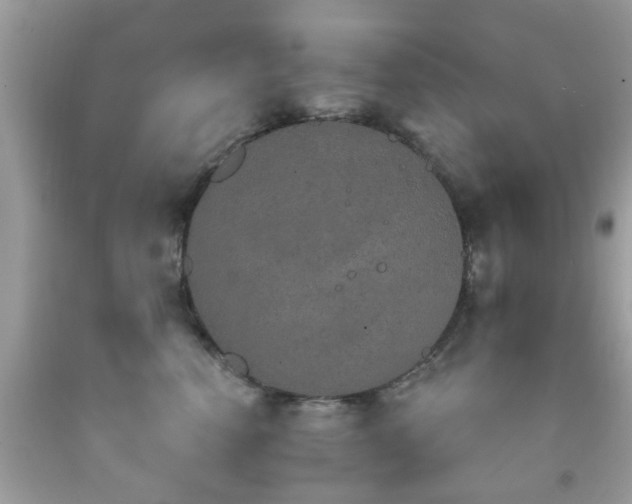 X0000092080666200709121445