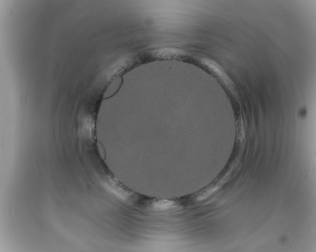 X0000092080669200709121445