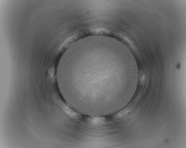 X0000092080670200709121445