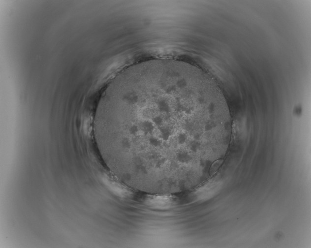 X0000092080671200709121445
