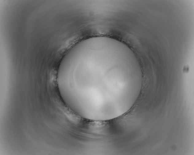 X0000092080672200709121445