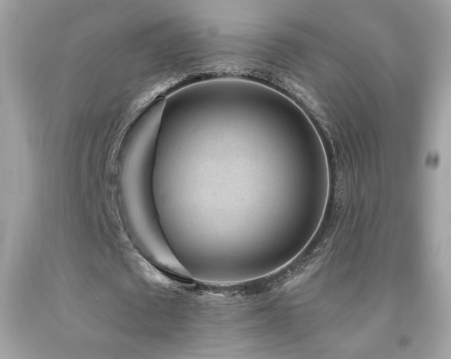 X0000092080673200709121445