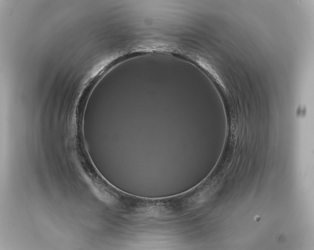 X0000092080674200709121445