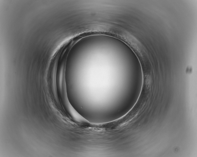 X0000092080676200709121445