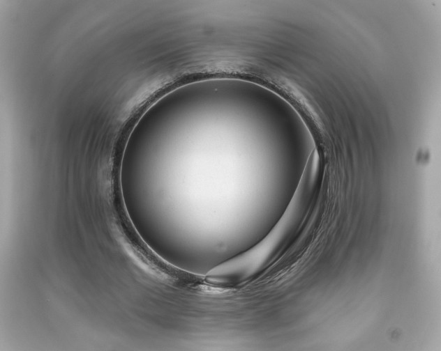 X0000092080677200709121445