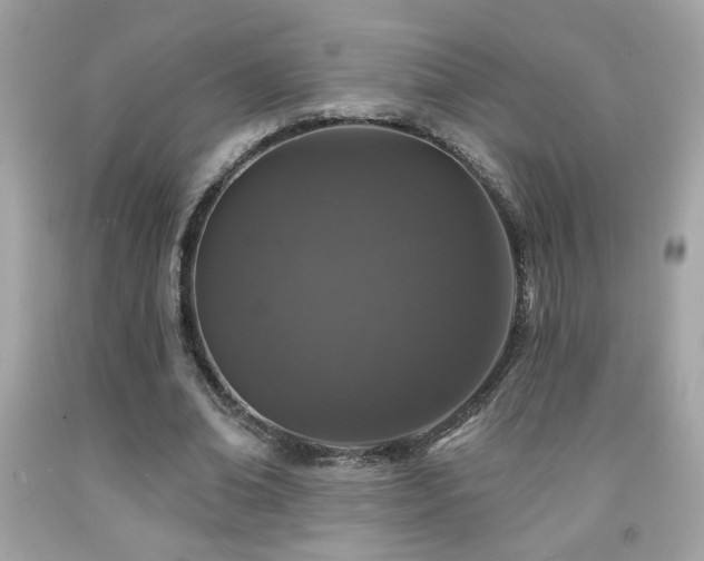 X0000092080678200709121445