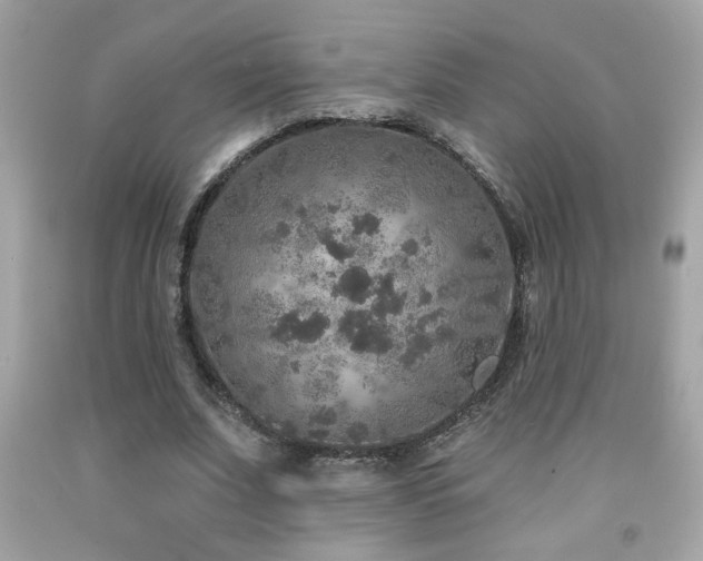 X0000092080679200709121445