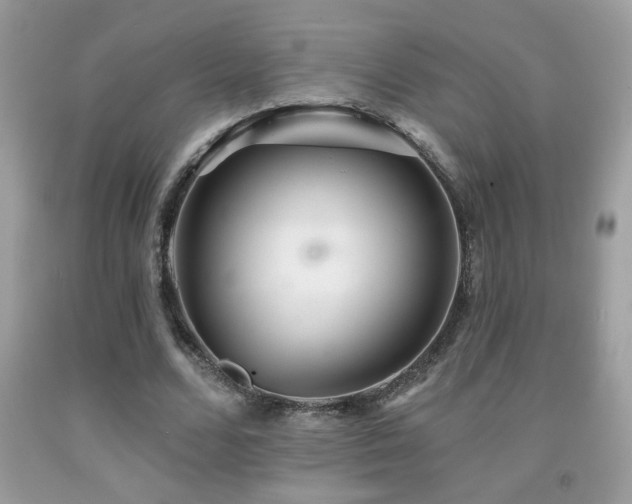 X0000092080680200709121445