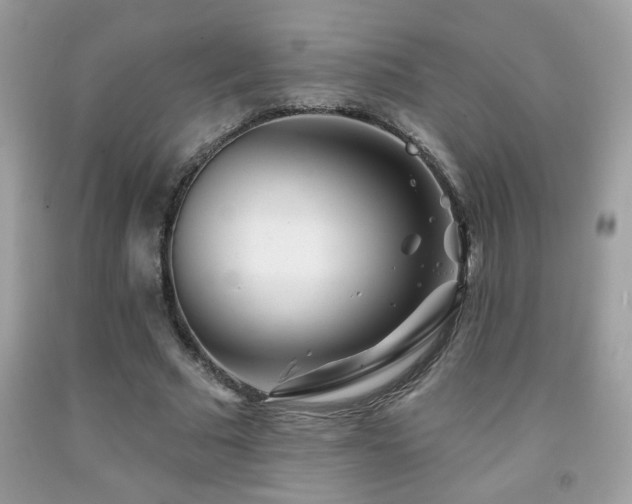 X0000092080681200709121445