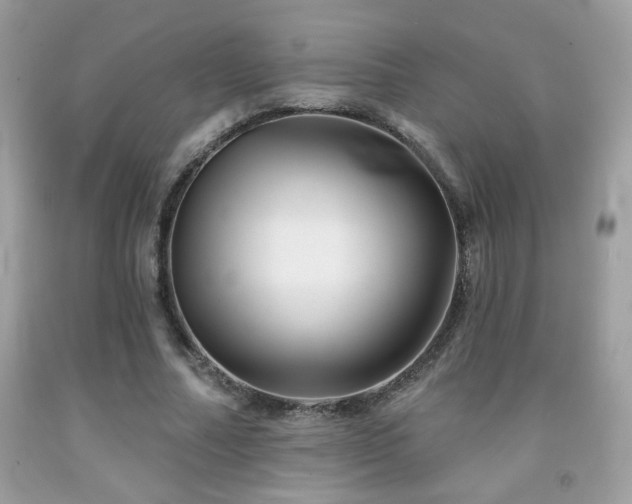 X0000092080682200709121445