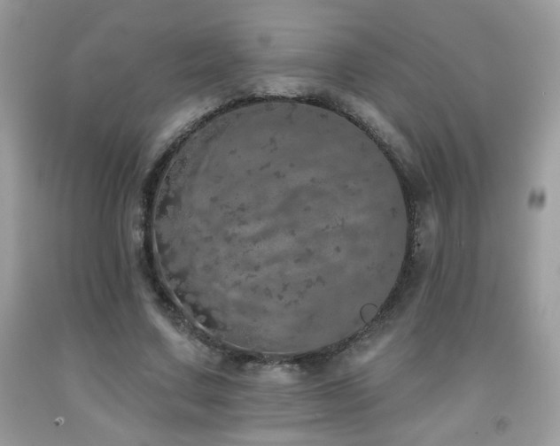 X0000092080683200709121444