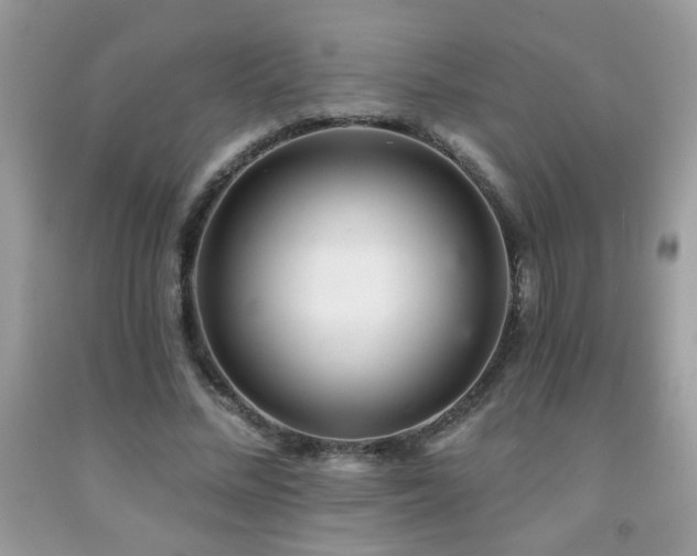X0000092080684200709121444