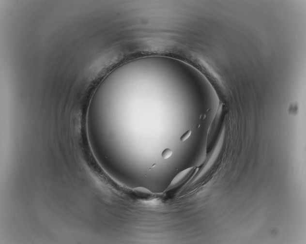 X0000092080685200709121444