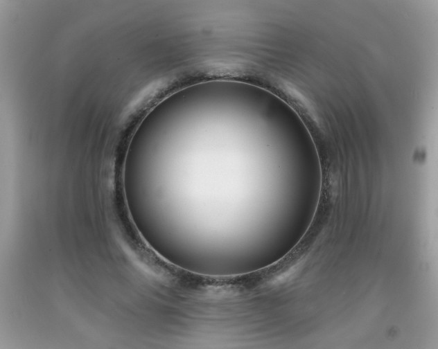 X0000092080686200709121444
