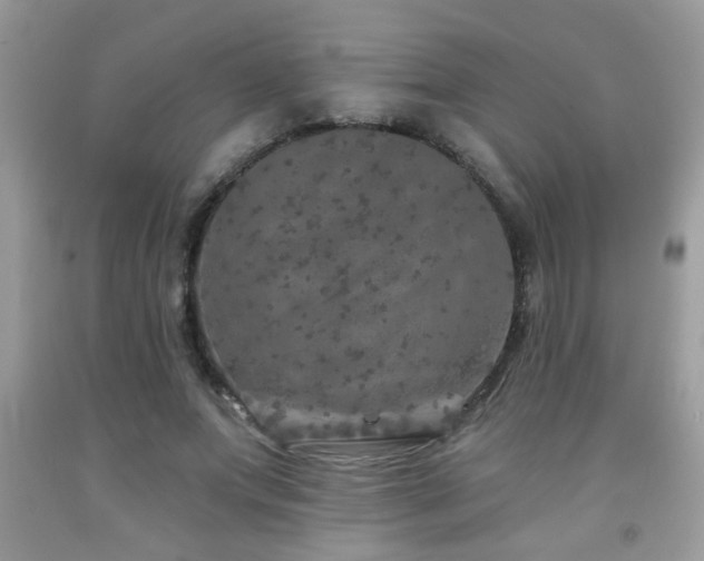 X0000092080687200709121444