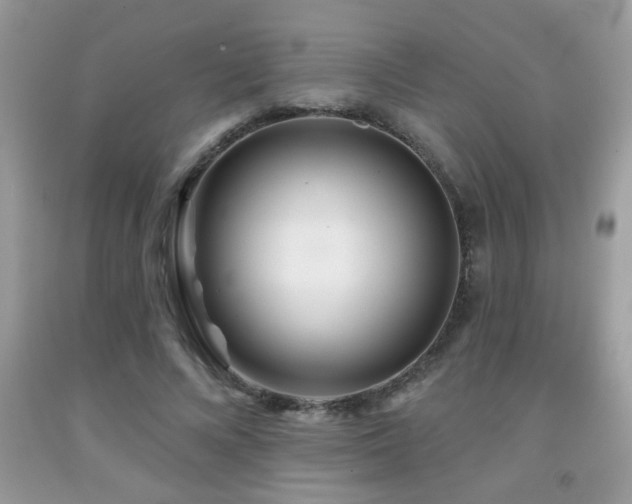 X0000092080688200709121444