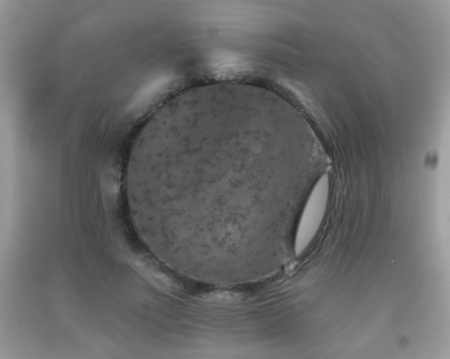 X0000092080691200709121444