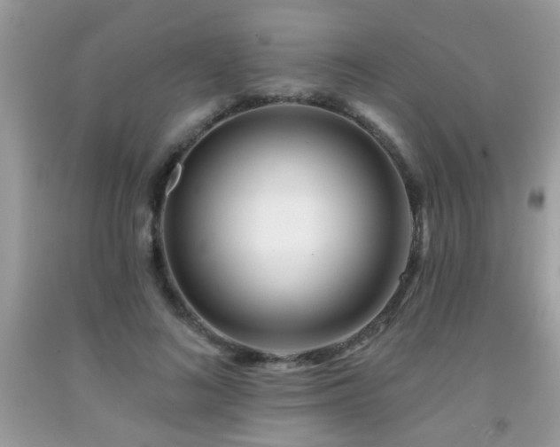 X0000092080692200709121444