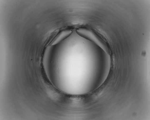 X0000092080693200709121444