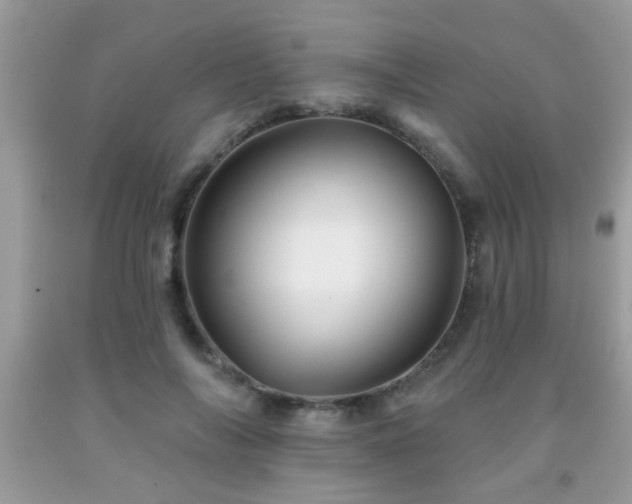 X0000092080694200709121444
