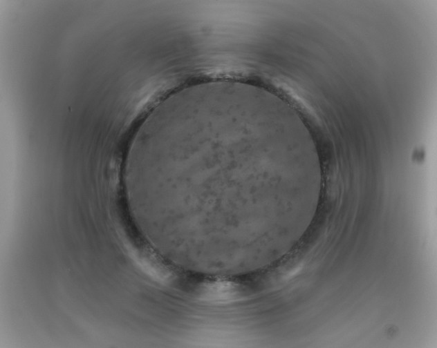 X0000092080695200709121444