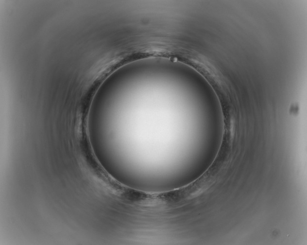 X0000092080696200709121444