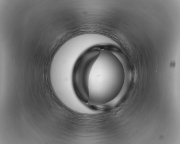 X0000092080697200709121444