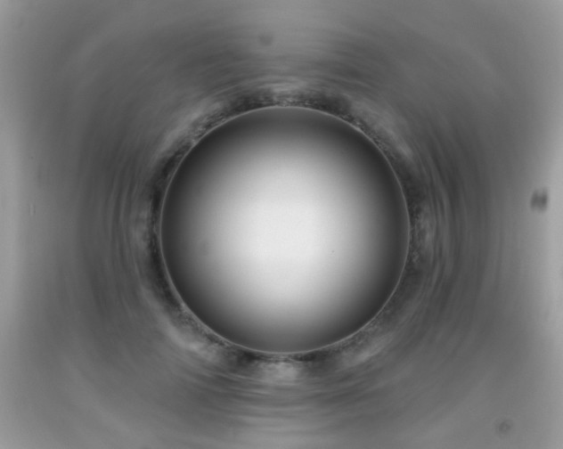 X0000092080698200709121444