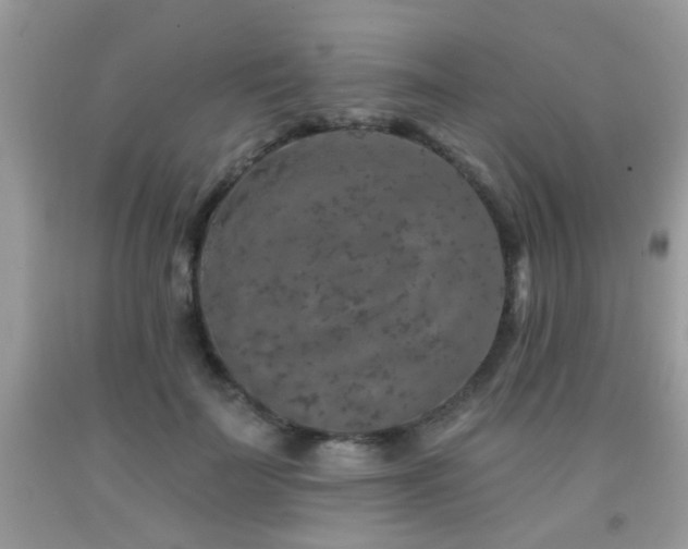 X0000092080699200709121444