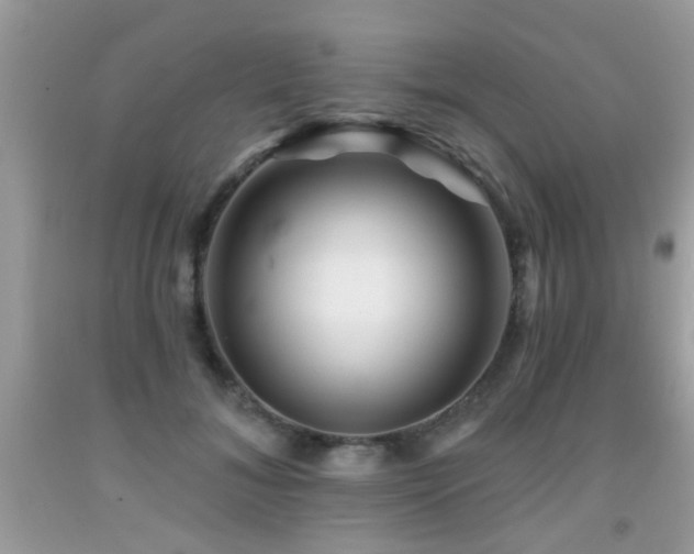 X0000092080700200709121444