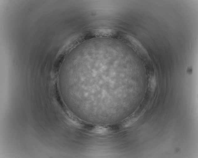 X0000092080701200709121444