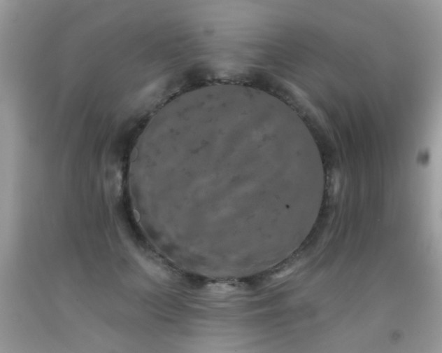 X0000092080703200709121444