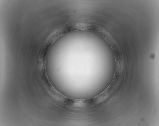 X0000092080705200709121444