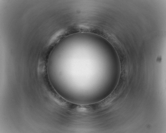 X0000092080706200709121444