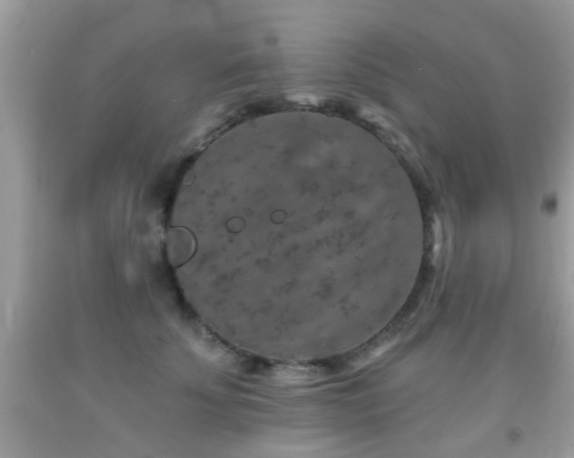 X0000092080707200709121444
