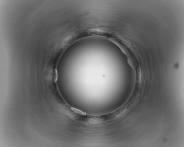 X0000092080708200709121444