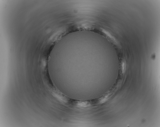X0000092080709200709121444