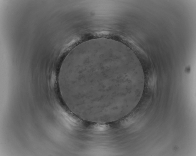 X0000092080711200709121444