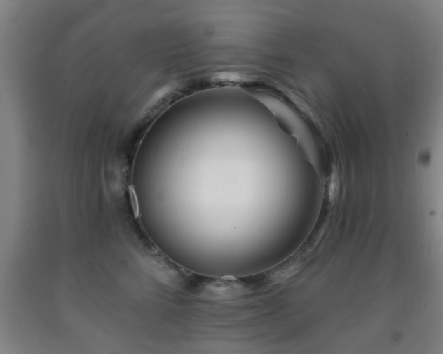 X0000092080712200709121444