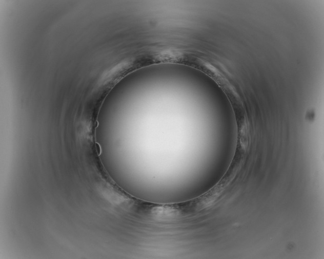 X0000092080714200709121444