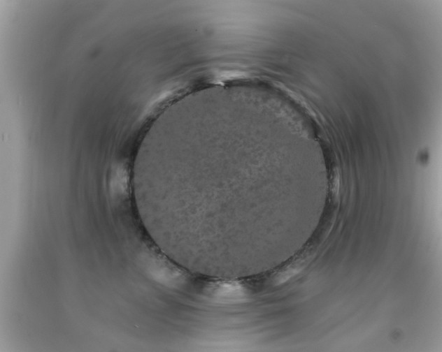 X0000092080715200709121444
