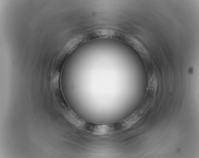 X0000092080717200709121444