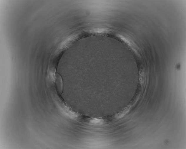 X0000092080718200709121444
