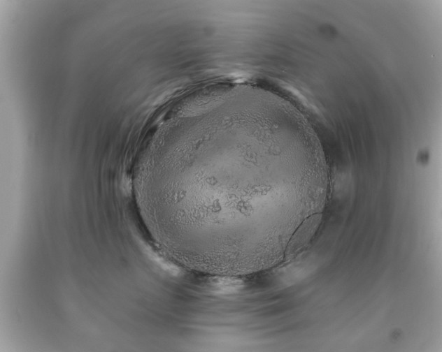 X0000092080719200709121444