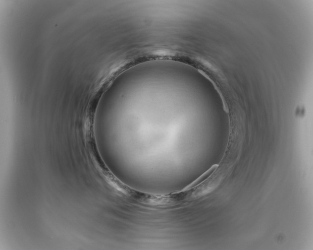 X0000092080720200709121444