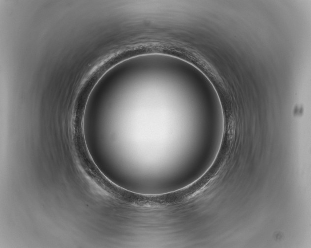 X0000092080722200709121443