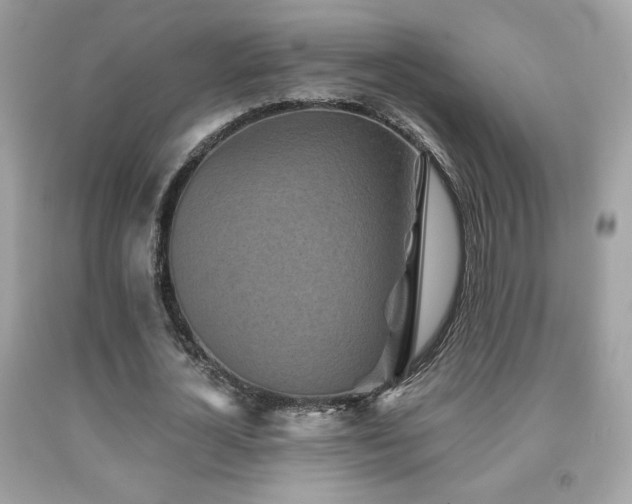 X0000092080724200709121443