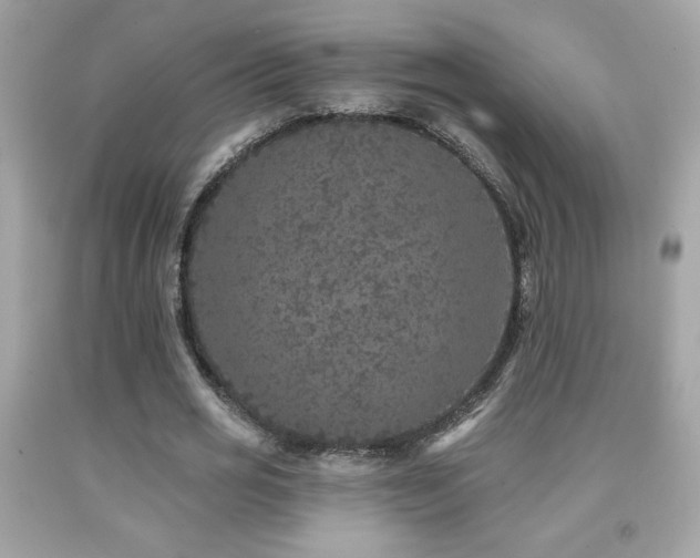 X0000092080725200709121443